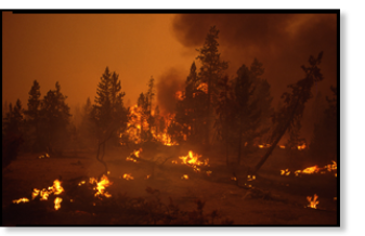 http://blog.wellsfargo.com/guidedbyhistory/2006/06/
